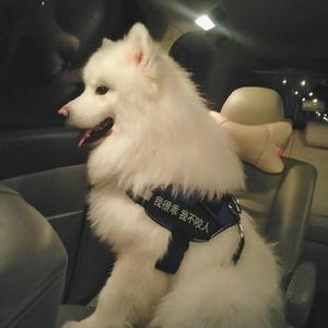 大桥久未无码吹潮在线观看
