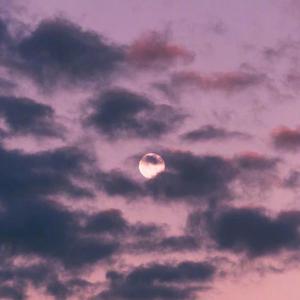 大桥久未无码吹潮在线观看
