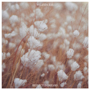 大桥久未无码吹潮在线观看
