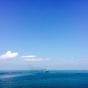 大桥久未无码吹潮在线观看
