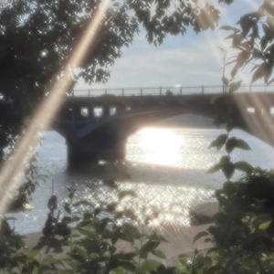 大桥久未无码吹潮在线观看
